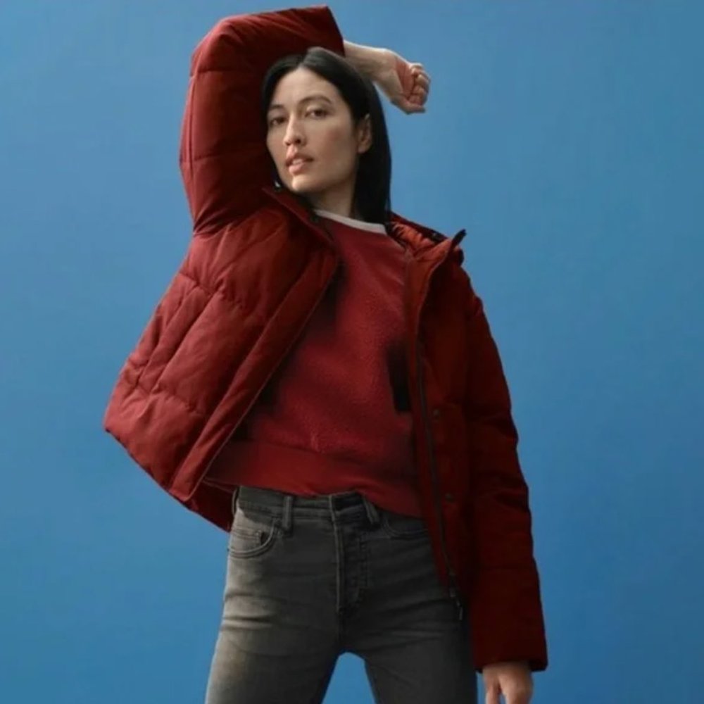Everlane ReNew Short Puffer Brick Red